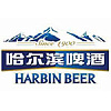 Пиво Harbin (Китай)