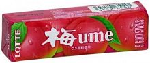 Жевательная резинка "Ume Gum" со вкусом японской сливы и крапивы, 26гр.
